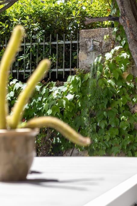 Il Giardino Tra Cielo E Mare Apartamento Porto Venere Exterior foto